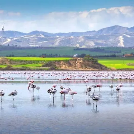 Sea And Breeze 1br Larnaca