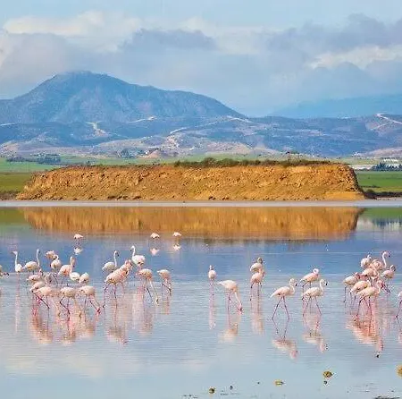 Appartement Sea And Breeze 1br