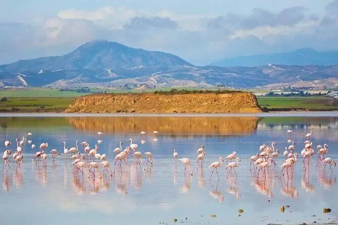 アパート Sea And Breeze 1br